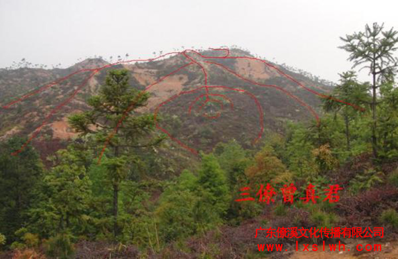 三僚曾氏长房之祖坟(凤形)